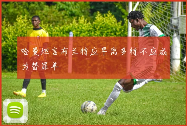 哈曼坦言布兰特应早离多特不应成为替罪羊